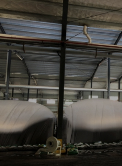 首页 - JDB电子官方网站